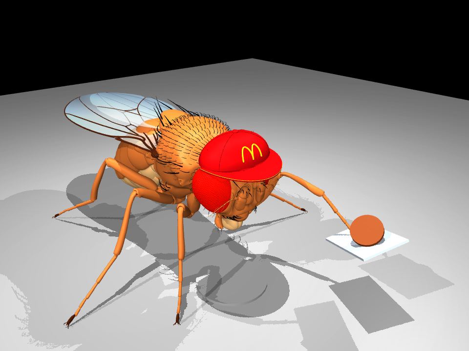 Fly simulation frame showing the burger held after a certified catch during the seed-83 five-flip replay.