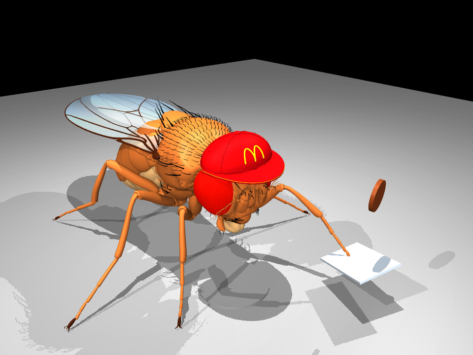 Fly Burger simulation during the second airborne burger flight.