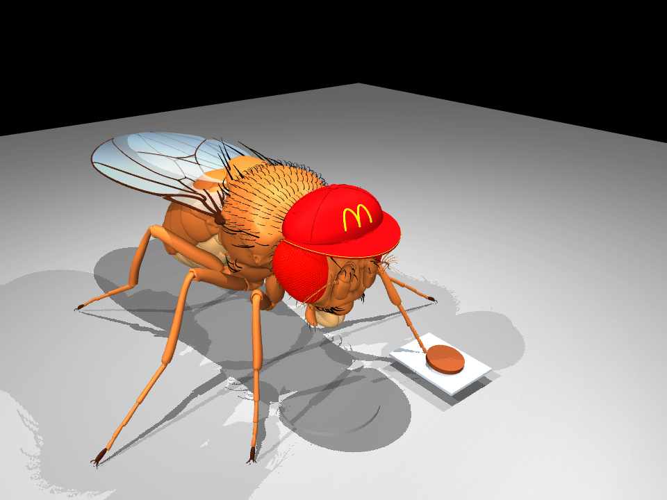 Fly Burger simulation at the starting pose before the first launch.
